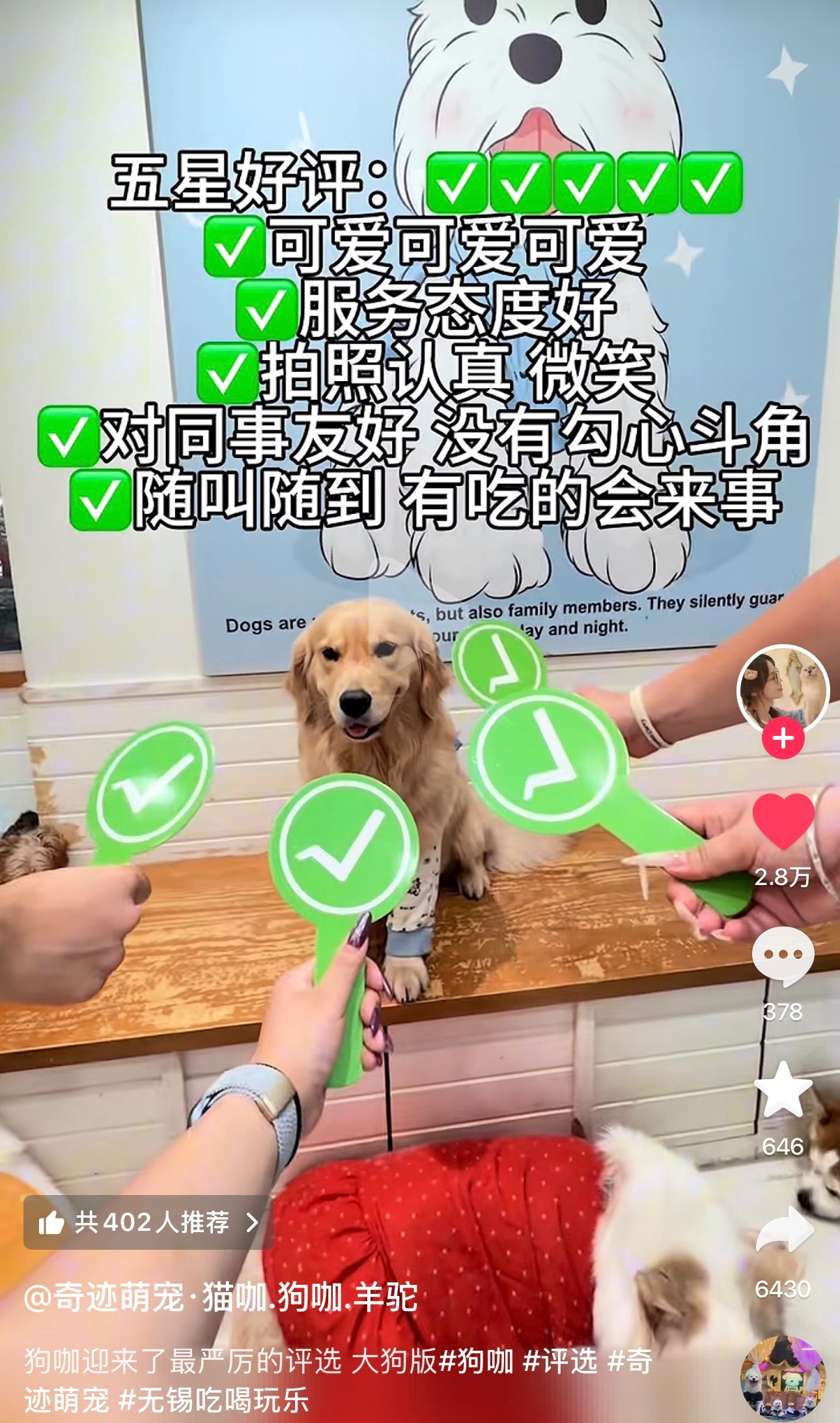 啊哈哈哈哈感觉小狗🐶知道自己是被打高分还是低分呢 