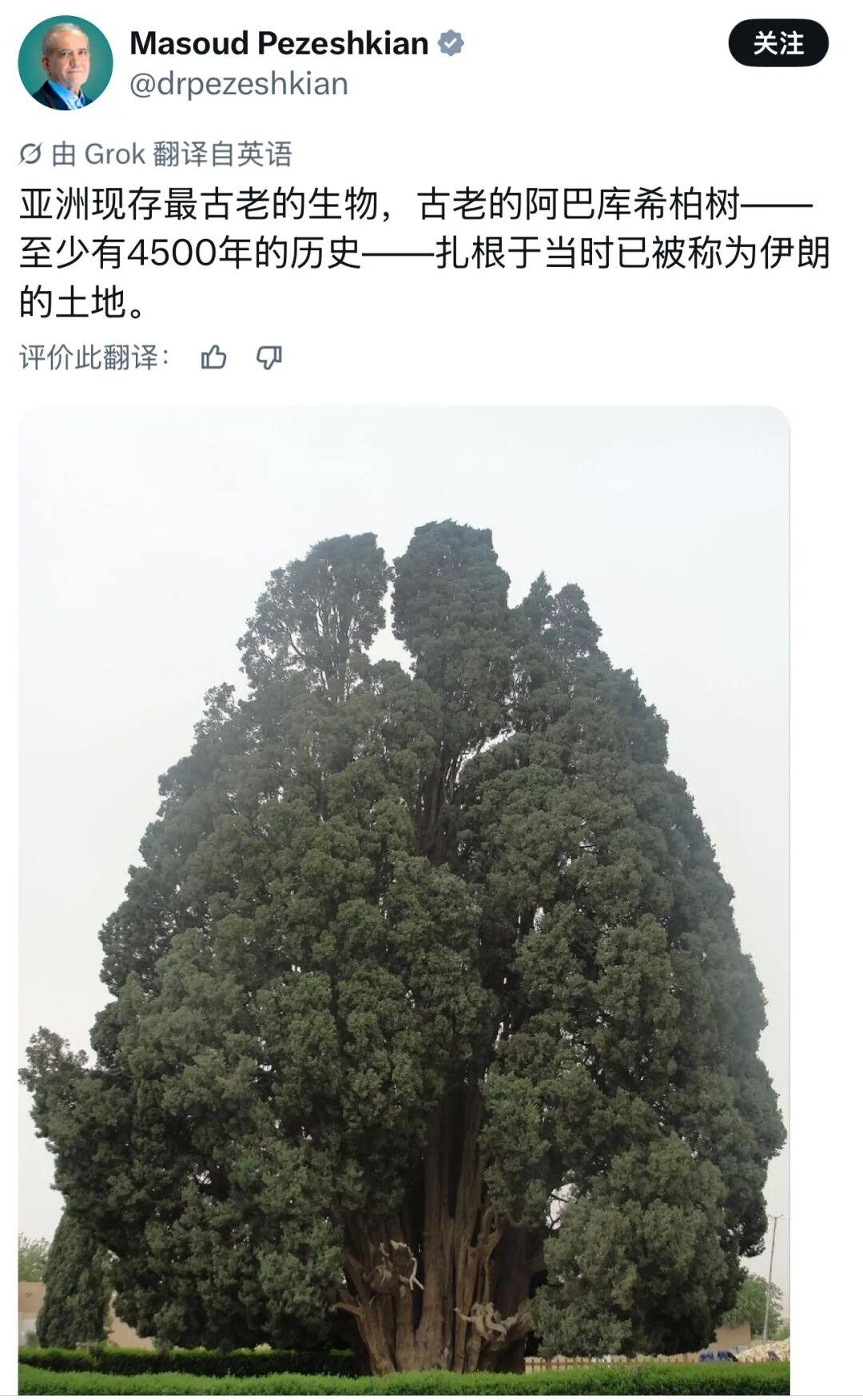 特朗普发军舰图喊"风暴来了"，伊朗总统回了棵4500年古树！美伊最精彩的隔空对决