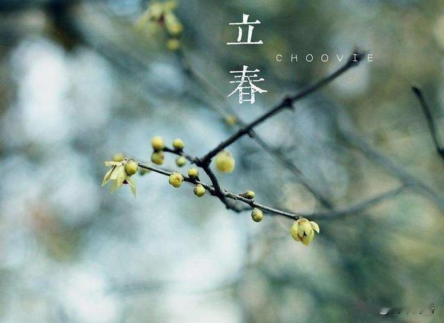 是欠账还是福利——再谈农民养老金的问题。
     最近，是一年最为重要的会期，