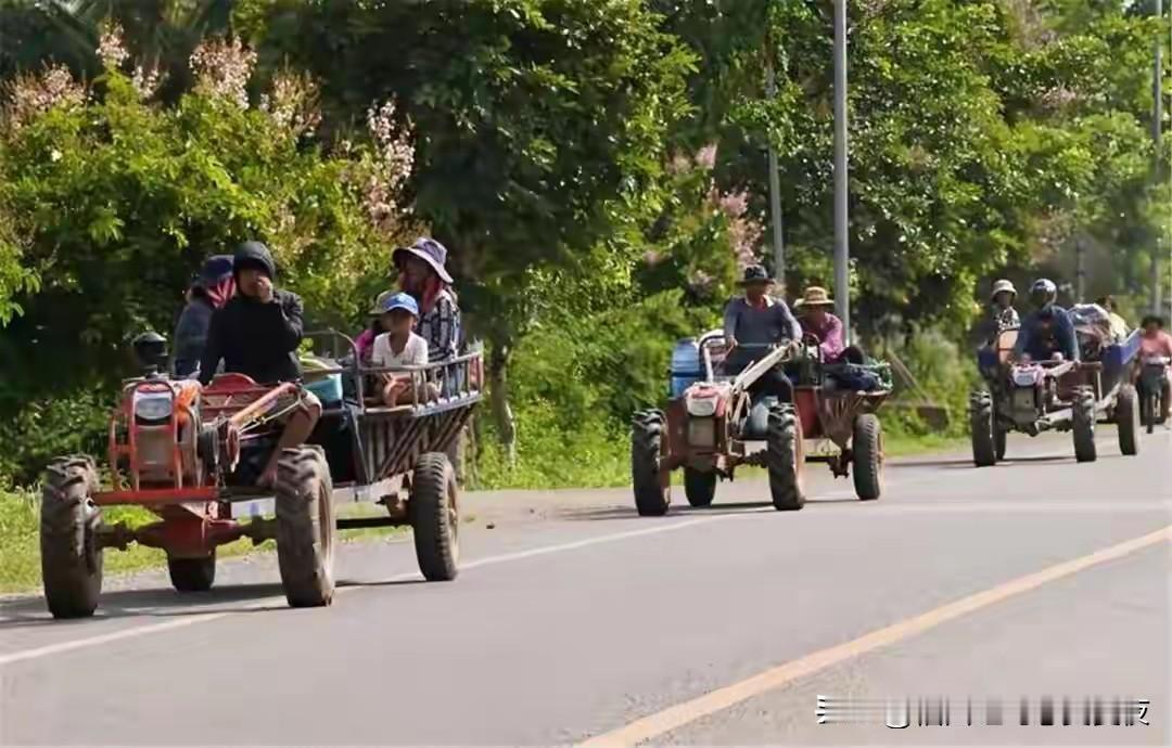 柬埔寨对中方最疯狂豪赌，开始了，中方行动，一架专机飞往东南亚