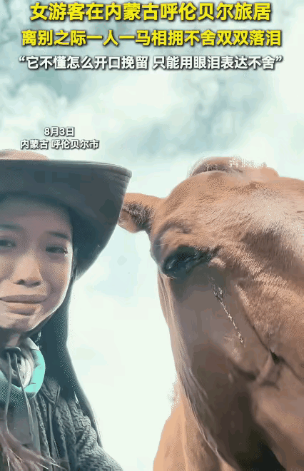 女子含泪告别草原马儿，下一秒让人瞬间破防：原来动物真的懂离别
 
内蒙古呼伦贝尔