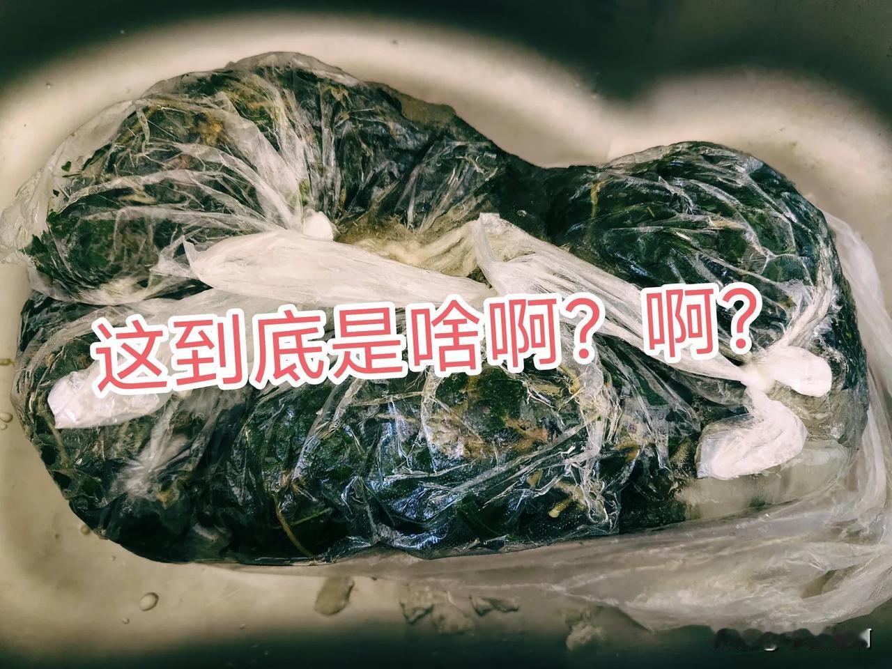 我的亲妈啊！这里面装的到底是啥玩意儿，在冰柜里冻了快一年了，看着有好几包的样子，