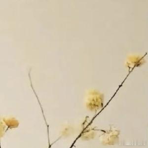 生活手记烟火人间，世事浮沉，一半遗憾一半圆满，学会和过去握手言和，学会和生活温柔