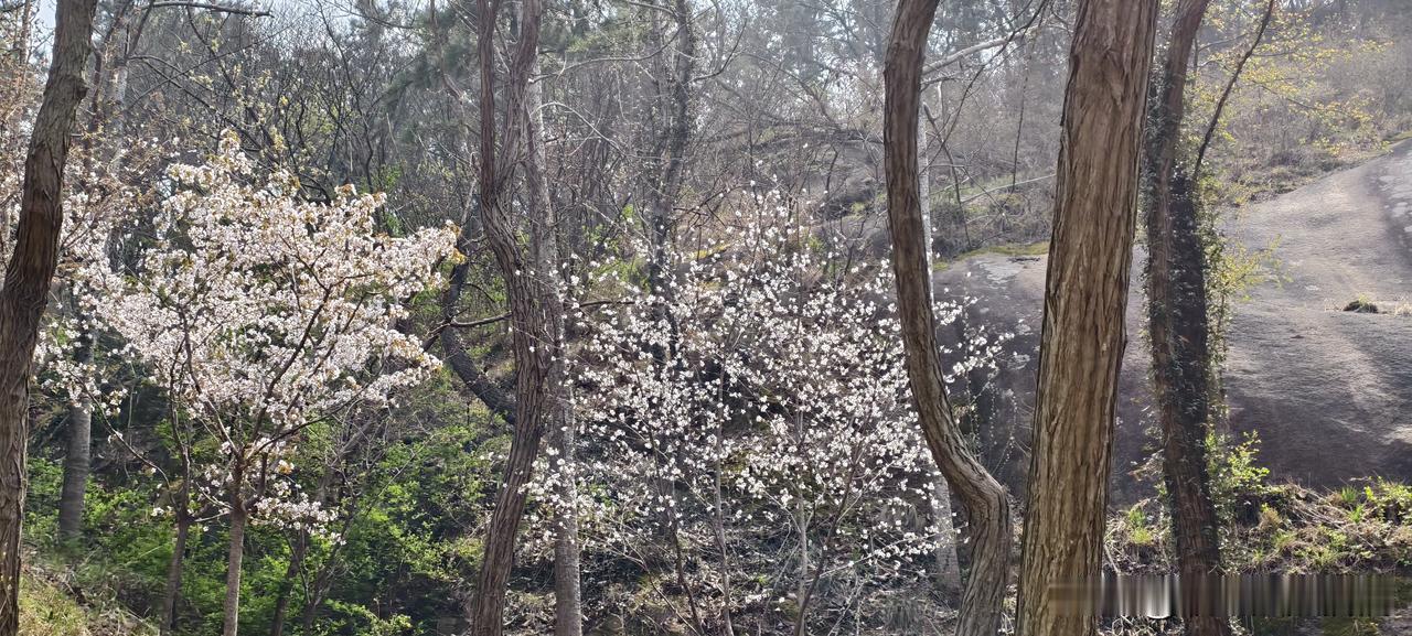上班8年才明白：领导记不住干活最快的人，只记得住会敬酒的人
我前同事小赵，部门里