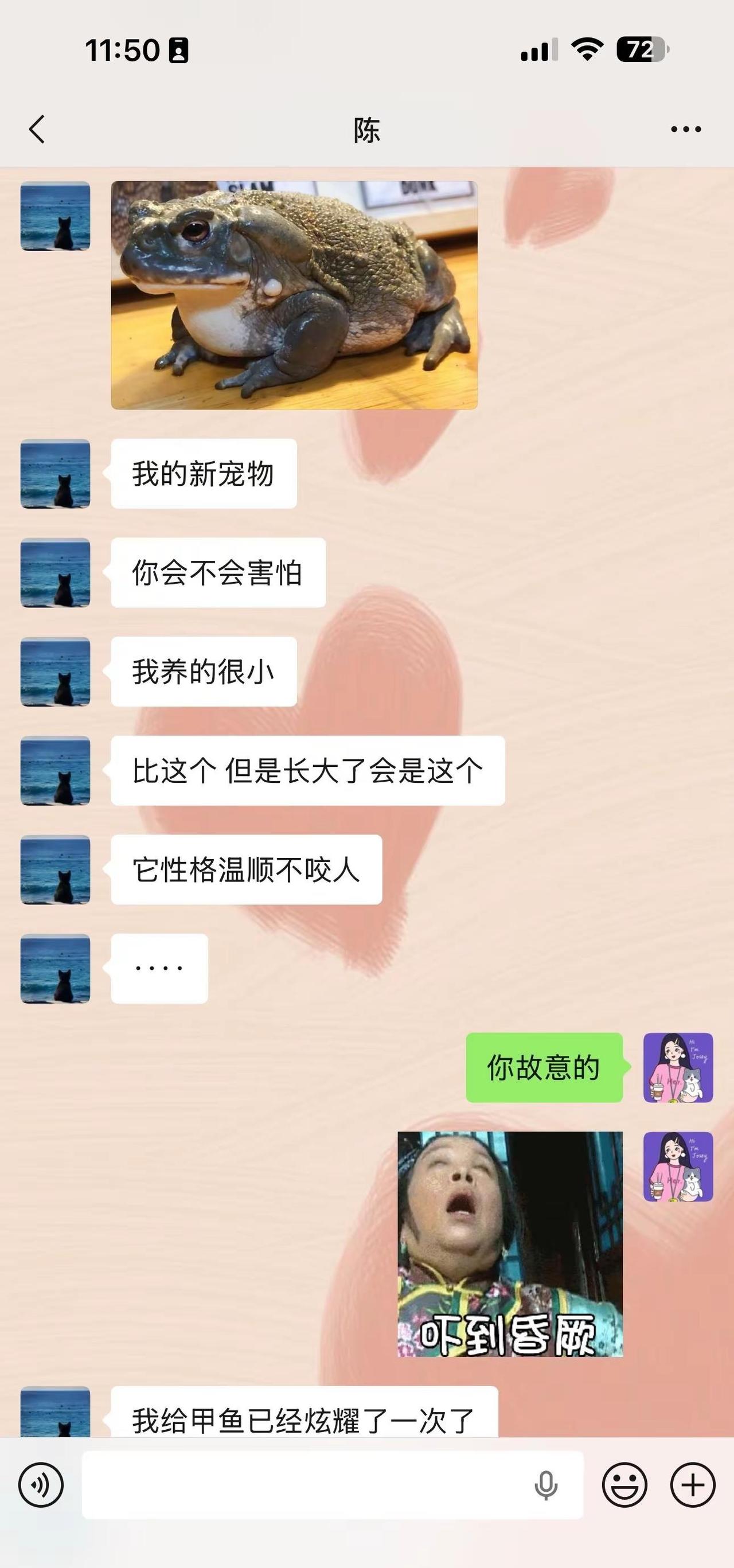 当闺蜜喜欢上异宠….我的相册不干净了….. papi酱 papi酱omg你吓到我
