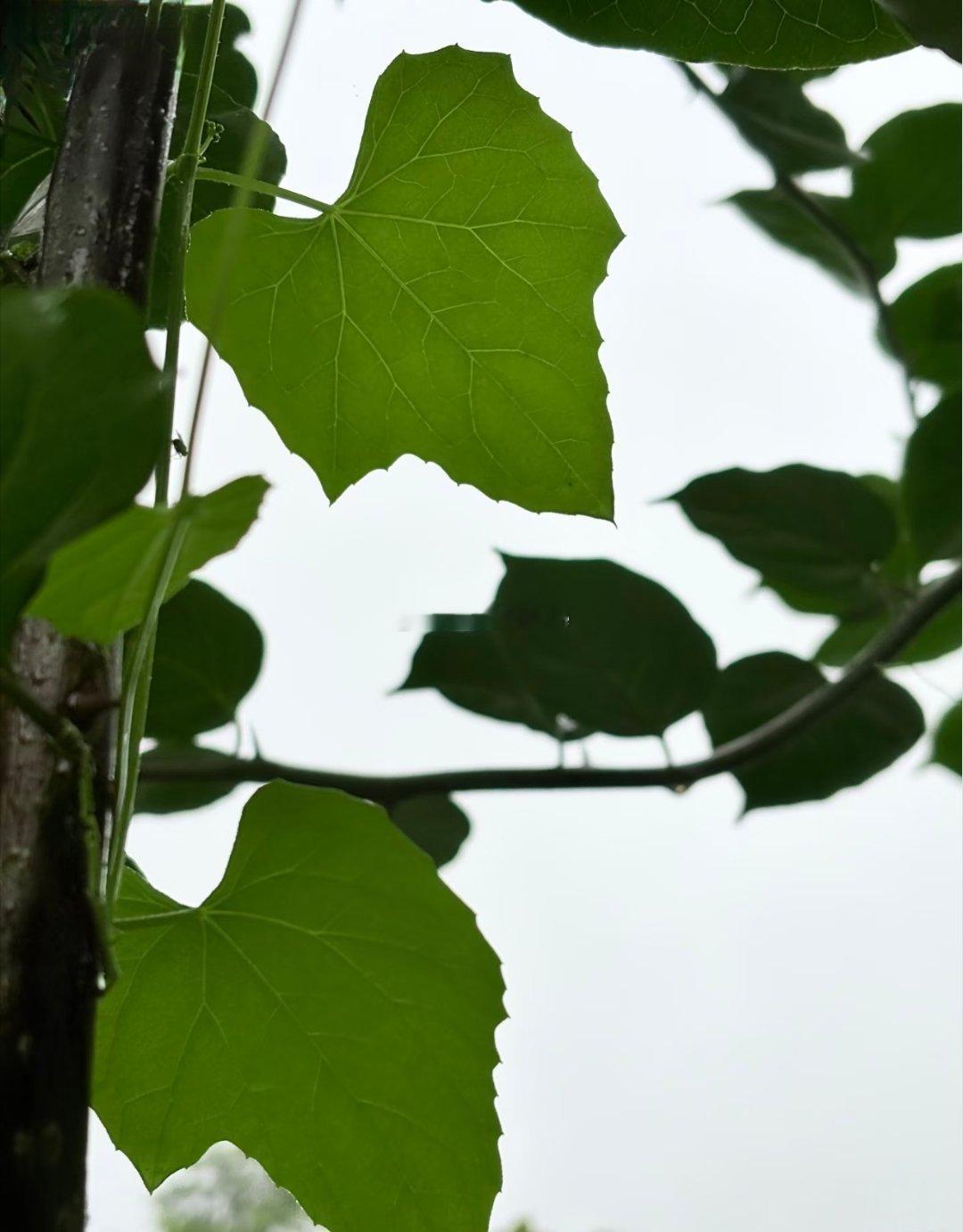 我觉得失误的产生源自敢于先去扑救从细节来看就优先于遗憾了如果换成生活中的细枝末节