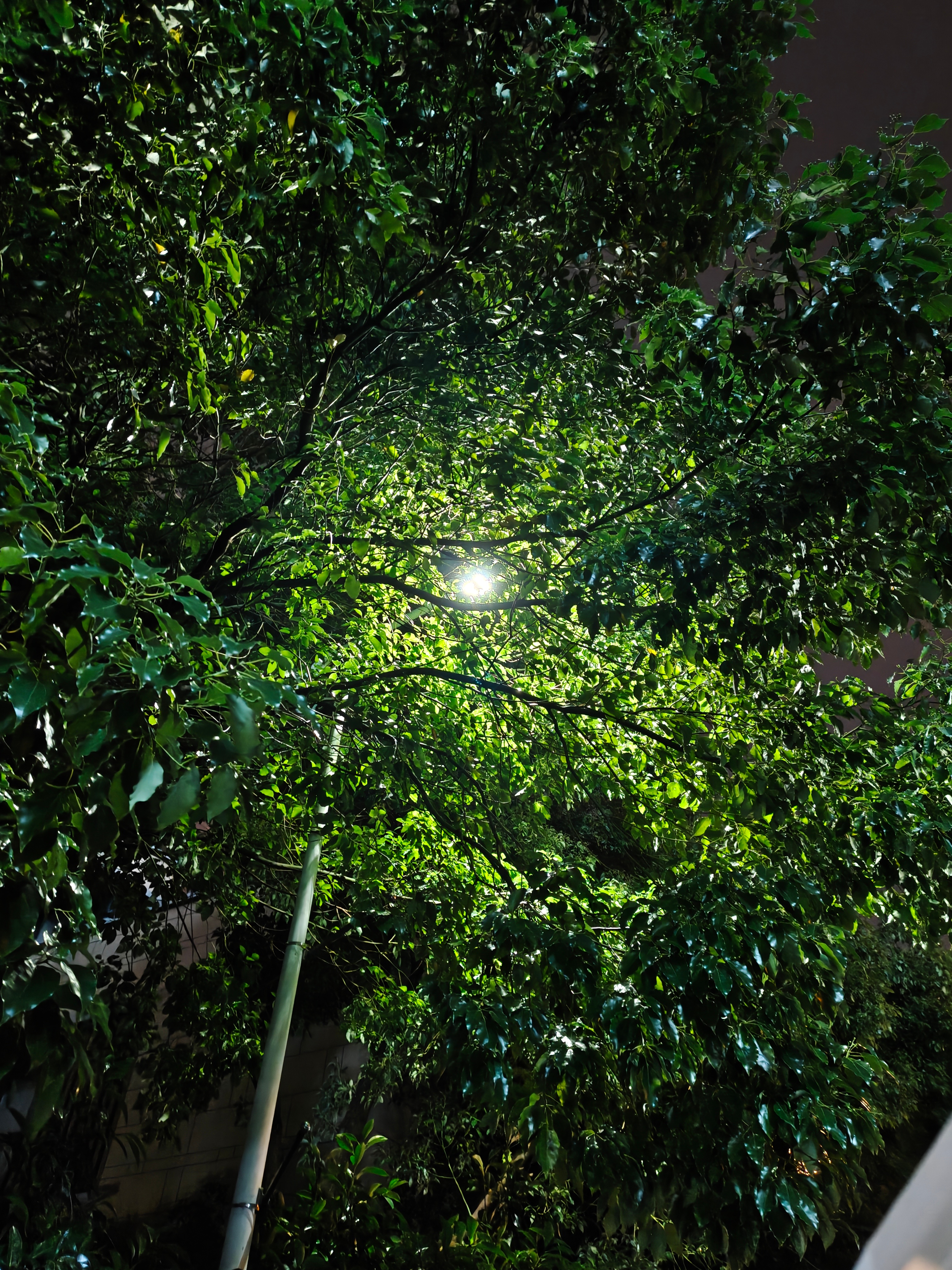隅间圆语2026/06/23晚 