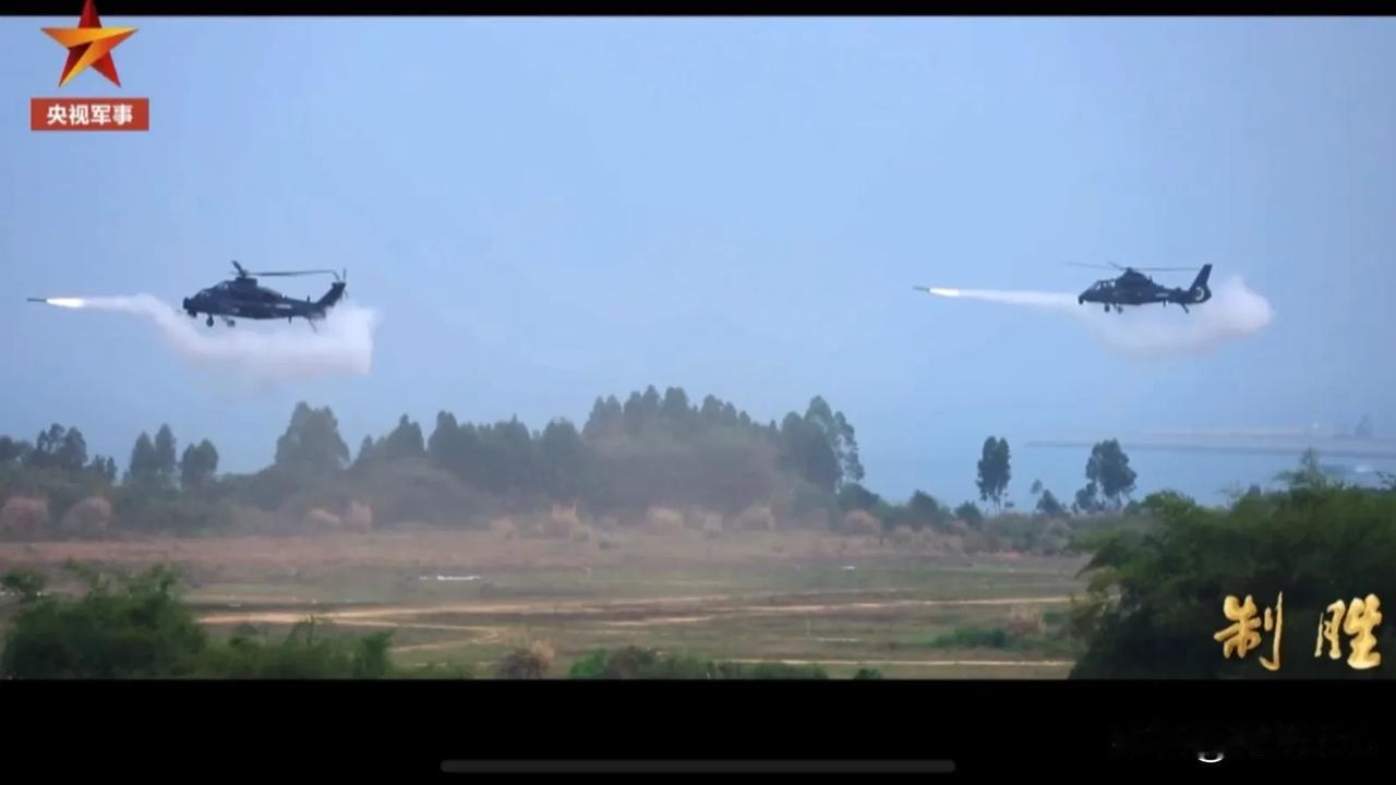 终于官宣了！我国空中突击旅协同打击画面，第一次见到地照组作战画面……

以前，经
