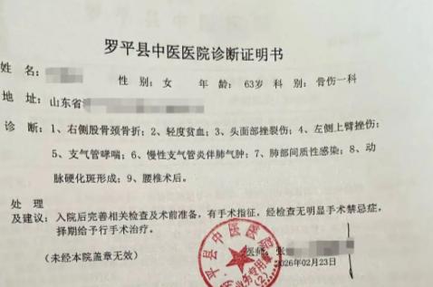 山东籍女子一家到云南旅游，在服务区休息时，60多岁老母亲出去溜达，突然被一只未拴