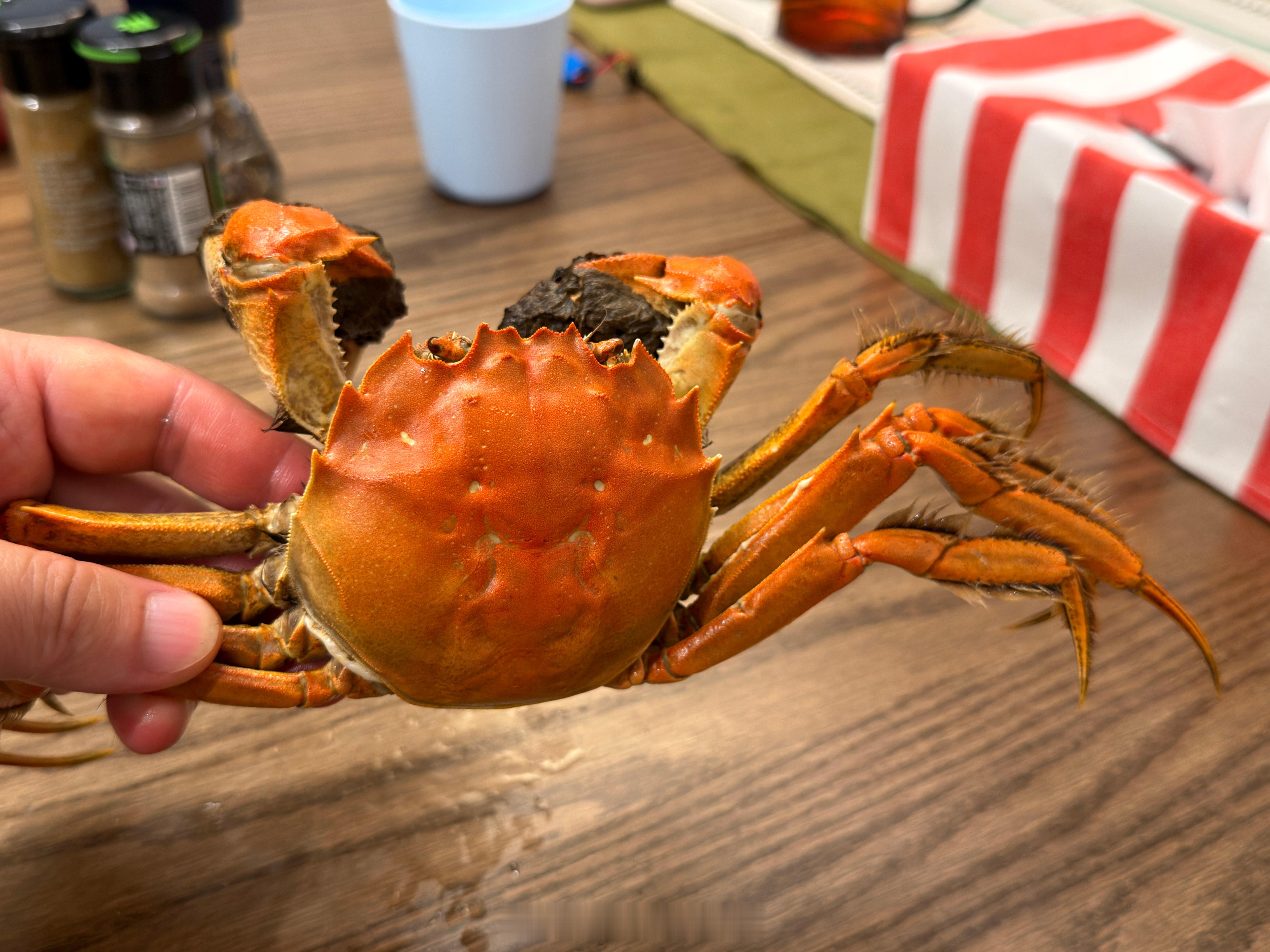 据说6两的大闸蟹[爱你] ​​​