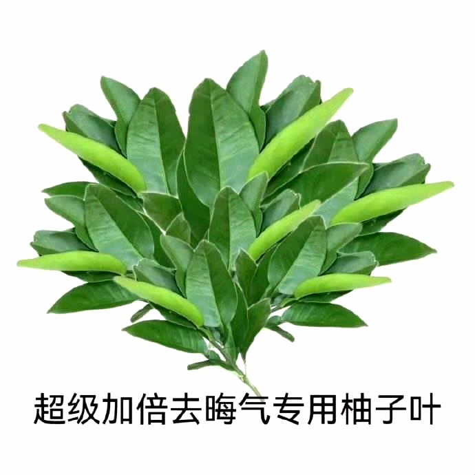 干就完了！管你是谁。