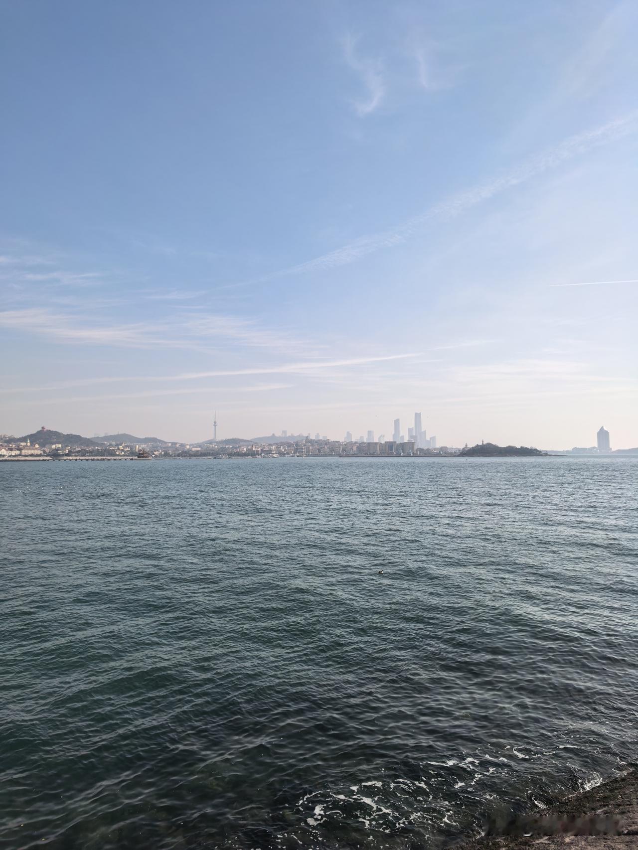 爱泼斯坦的教训：筹码的双刃剑。爱泼斯坦的悲剧正是这一权力逻辑的极端体现。

这揭