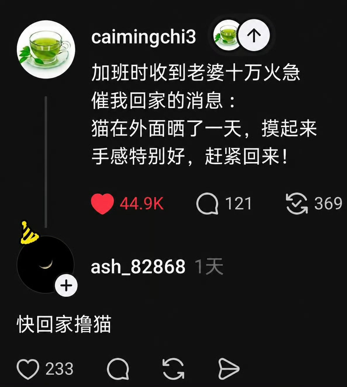 最佳小猫味赏味期 ​​​