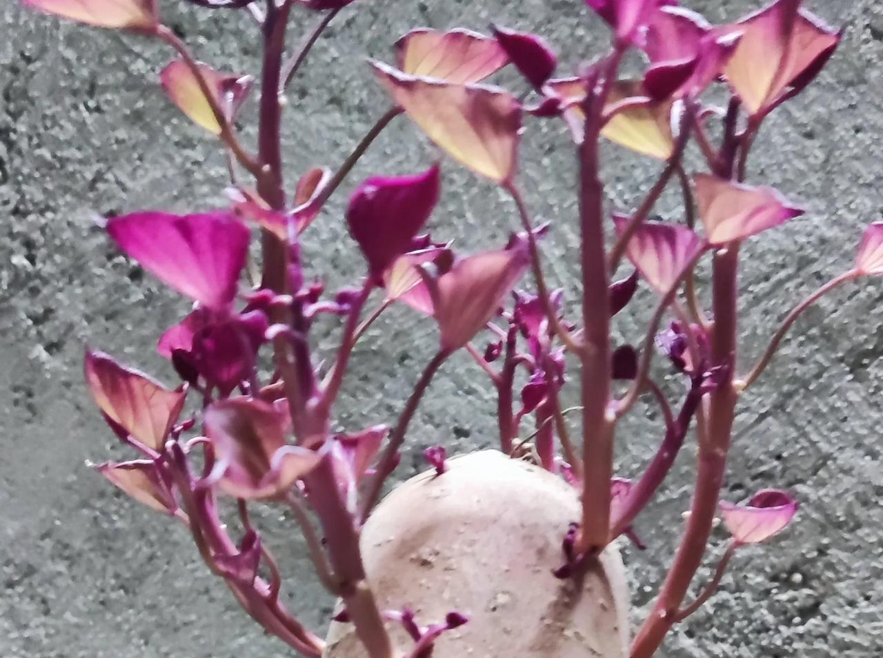 快来看看我新换的主页背景吧