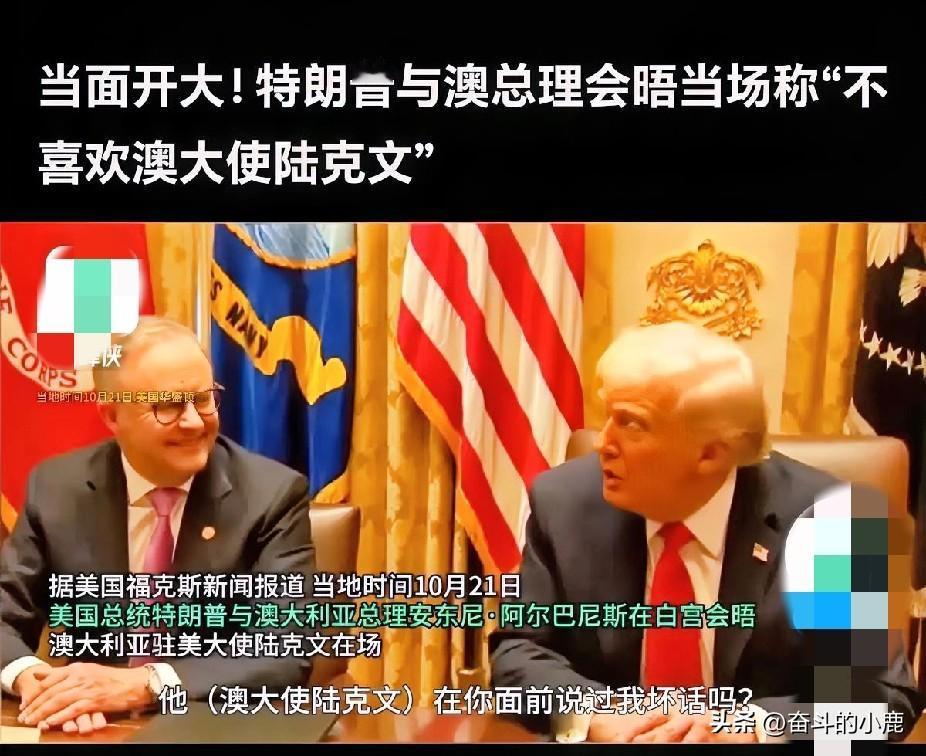 刚刷到美澳签85亿稀土大单，特朗普却当场对澳大使说“我不喜欢你”的消息，这哪是签