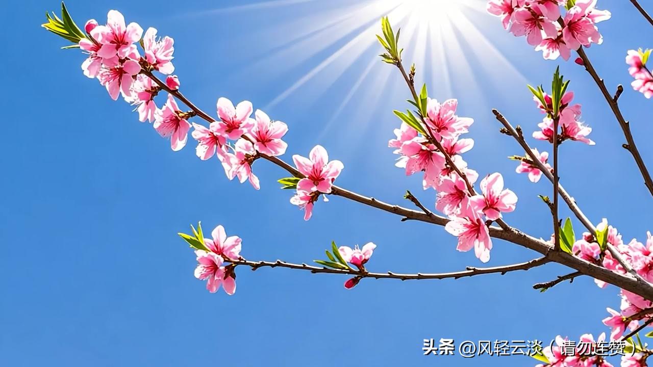 其实快乐很简单，
想笑就开心地笑，
想哭就痛快地哭，
不必事事都委屈自己，
也不