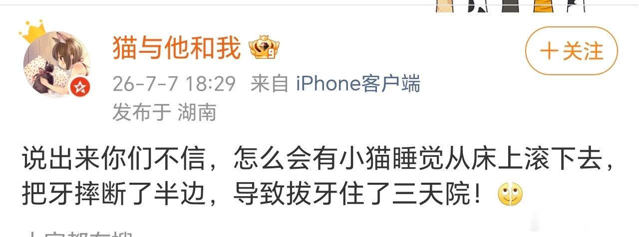 好惨的吉安娜 