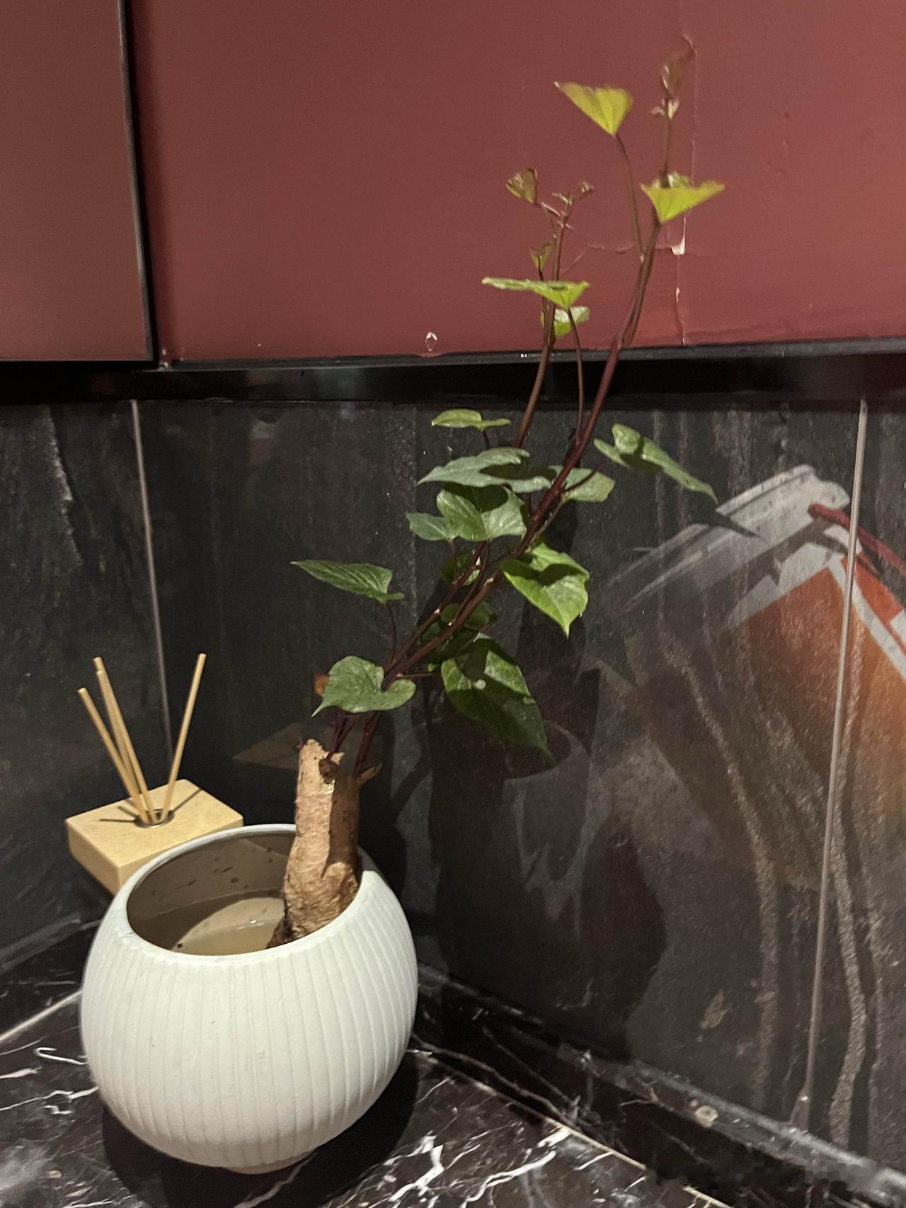 以后每月又要多进账1800元。[耶]

真是上天为你关闭一扇门，就会为你打开一扇