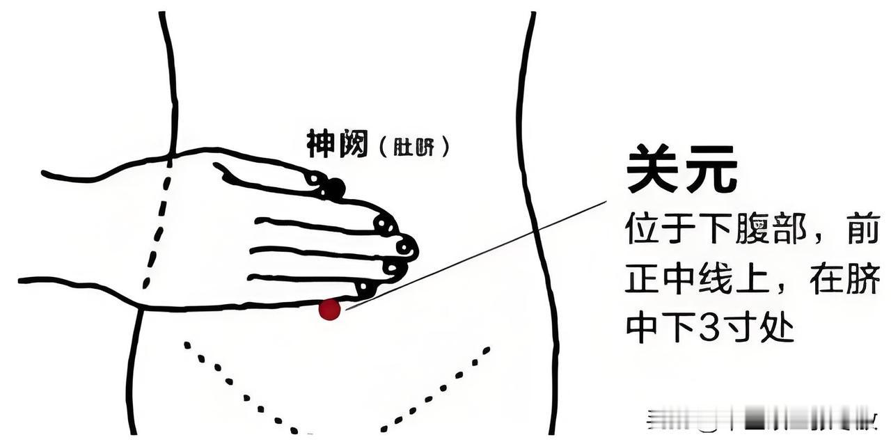 五脏养生篇——养肾补肾
肾虚老的快，男女都要养，今天张医生就给大家分享养肾干货！