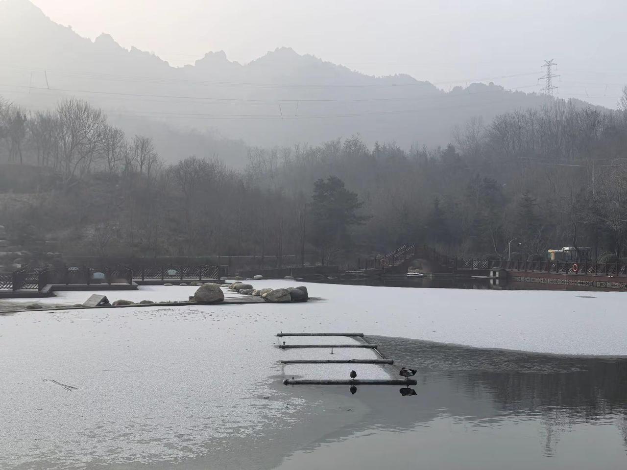 新春来抓马 我的足迹地图