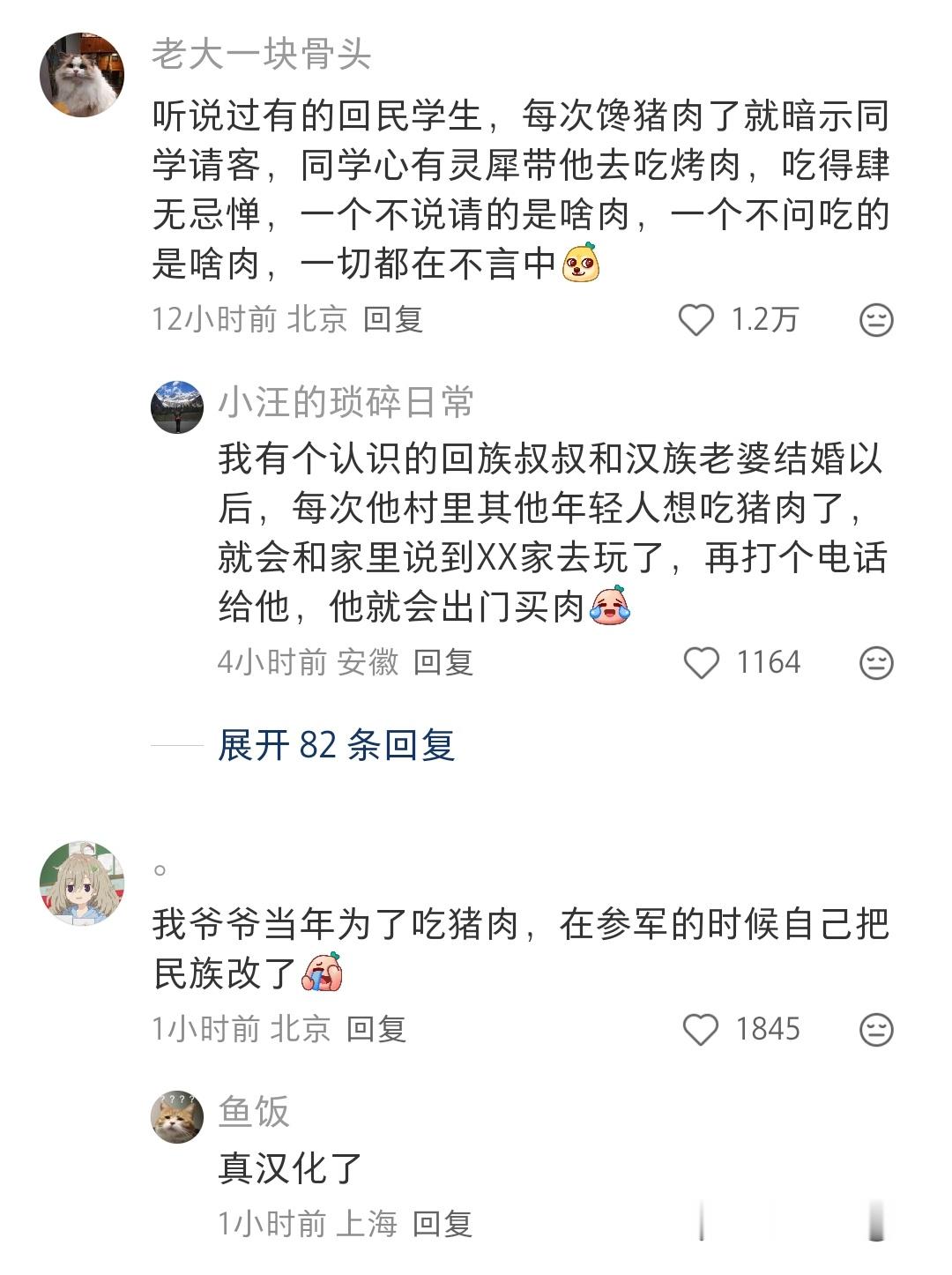 哈哈哈这个帖子的评论好好笑为了吃猪肉也是各显神通，直接改了民族的，说烤肠是耗子肉