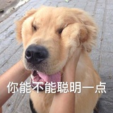 糯糯糍谈谈科技