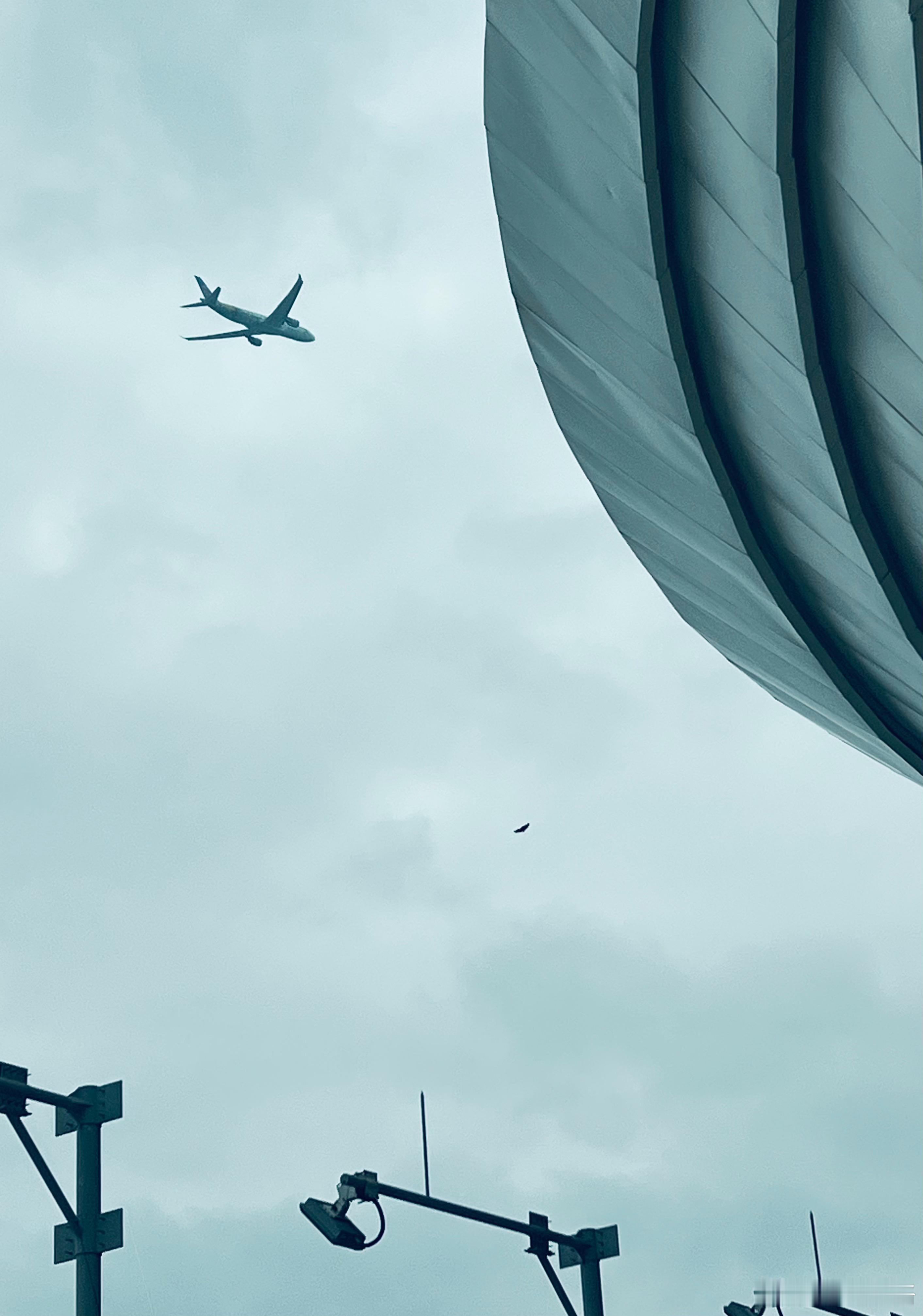 大鸟小鸟一起飞航空创作计划