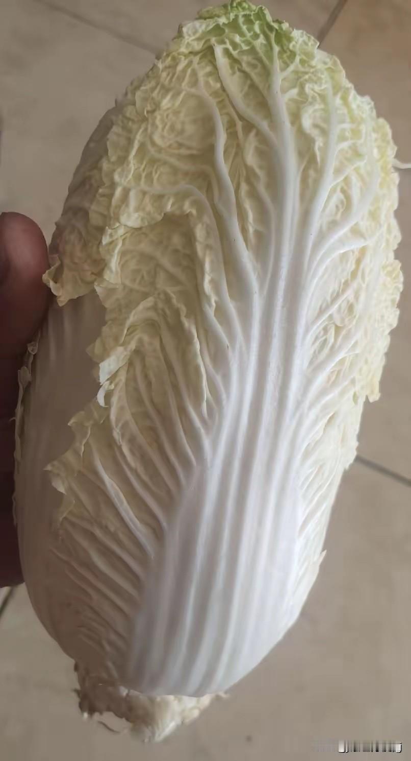刷到甲醛白菜的新闻，瞬间心里咯噔一下。家里存放二十多天的大白菜，本来准备包饺子，