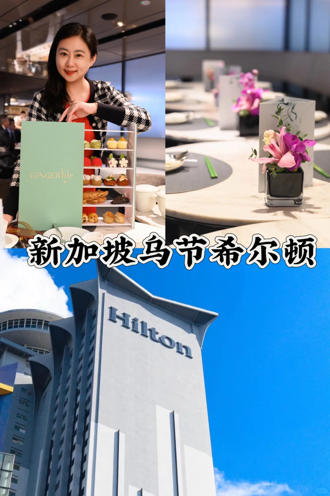 新加坡酒店｜新加坡乌节希尔顿酒店