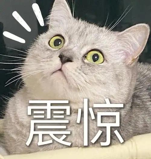 【带娃家长注意！警方通报团伙偷手机新手法！】警方通报宝妈遛娃遭多人配合偷手机女子