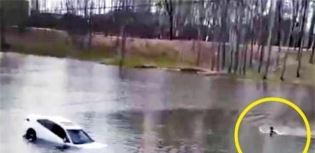 分享网易新闻《河南小伙跳河救人，体力耗尽留遗言，被救女子坚决不放弃：一起走》  