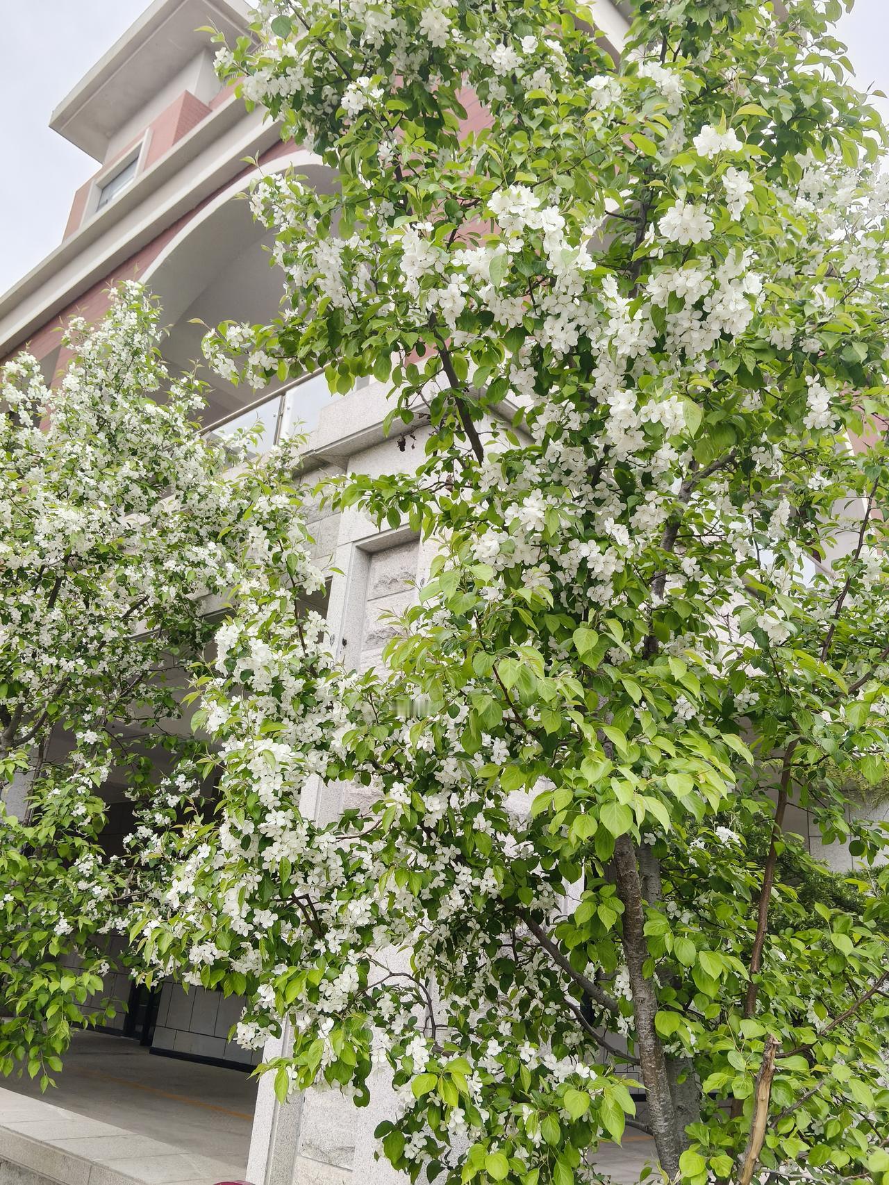 文科大学生就业太难了


去年我有两个朋友的孩子都大学毕业了，一个专业是英语，一