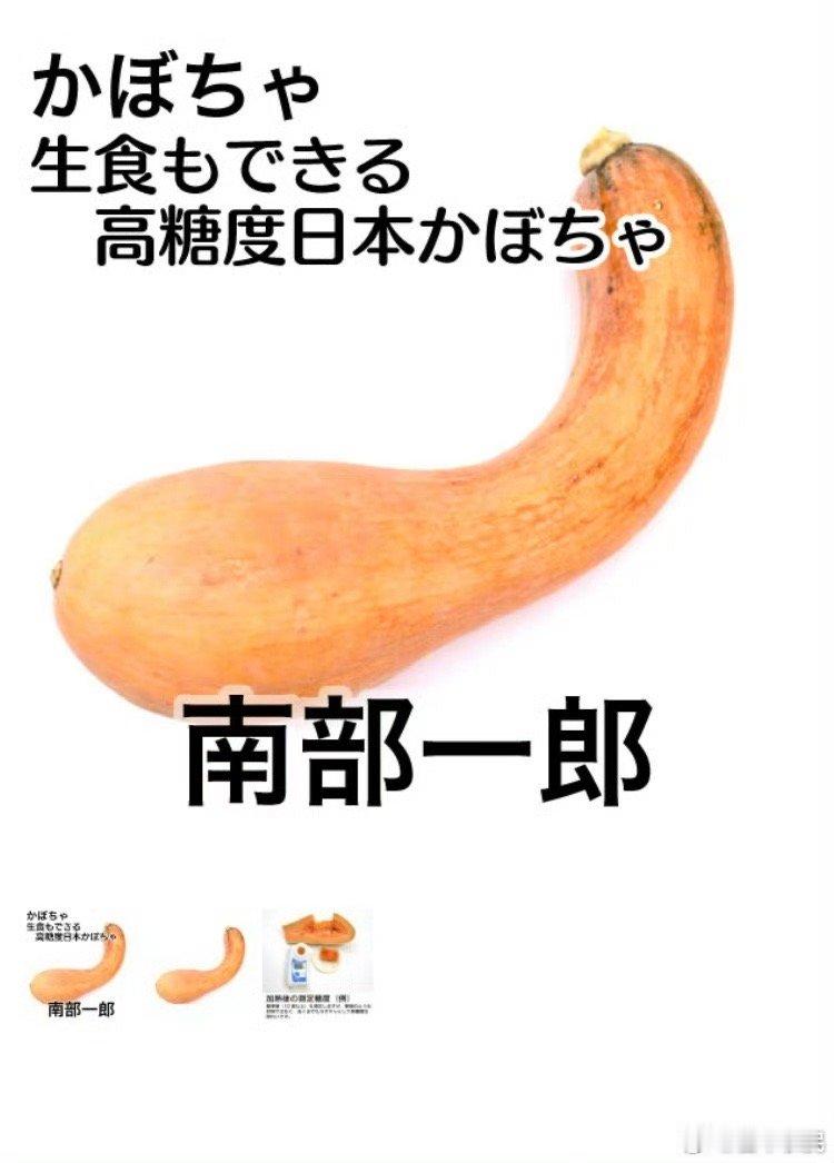 未来可期～～可以生食拌菜的南瓜🎃们，正在茁壮成长中⌛️要深怀对自然的敬畏之心美
