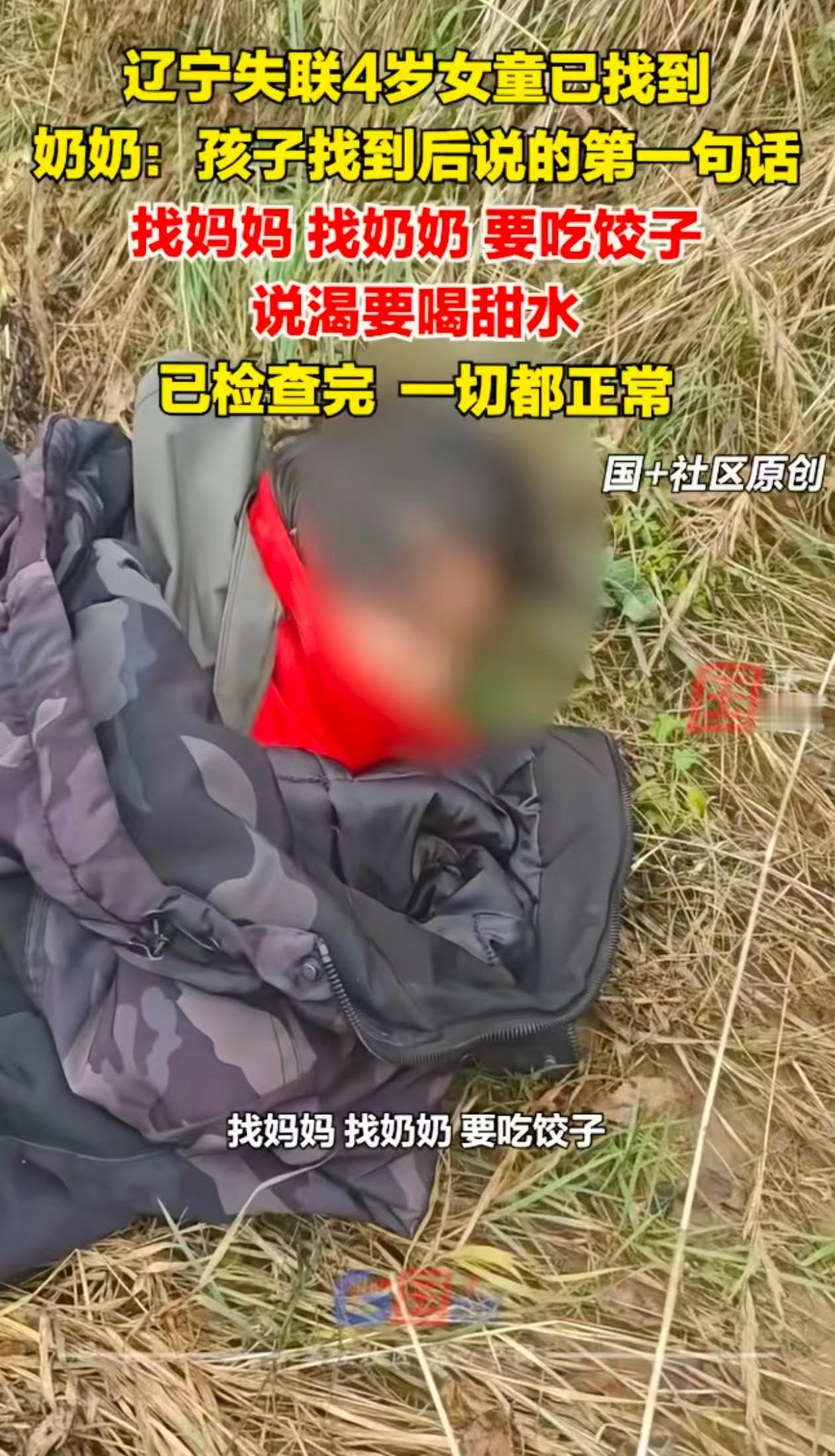东北人真是爱吃饺子啊，4岁小女孩被找到，第一件事就说要吃饺子！
网上好多人说小女