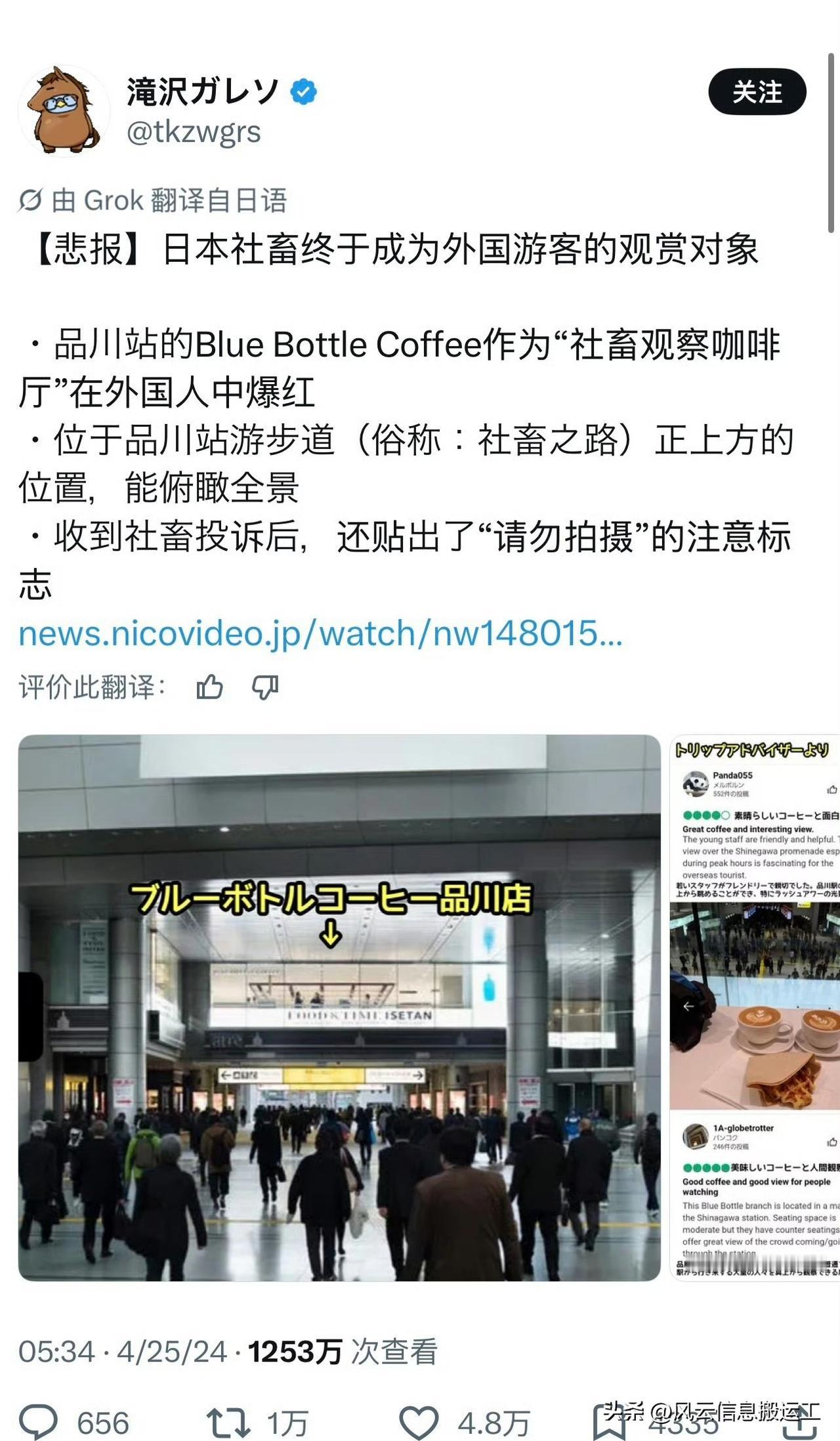 日本社畜成为外国游客的观赏对象
