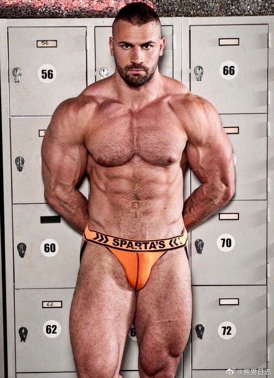 【BEAR】() 