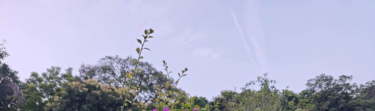 云淡风轻。今天是个好心情。可以分享一张你拍的天空美照吗 天空打卡计划 你手机里最