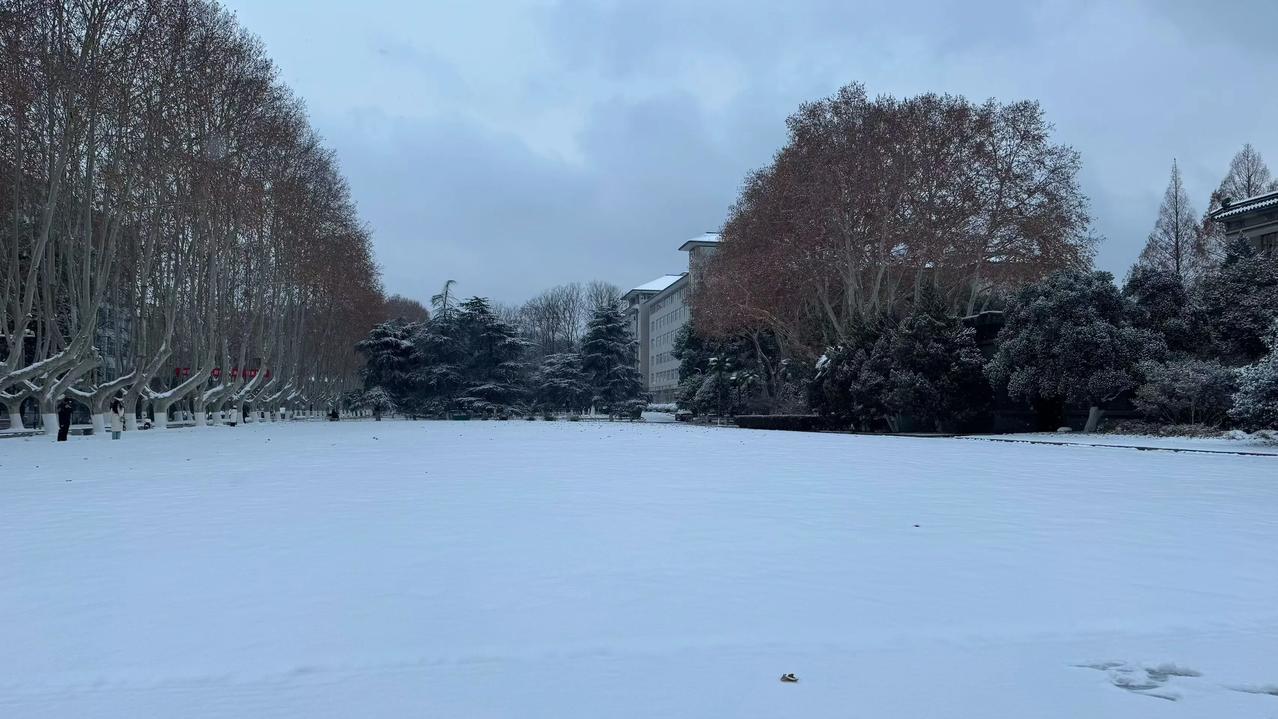 校园雪晓
（123加油文医生）
​金陵初积素一夜换银纱
​主楼沐清光梧桐立玉桠