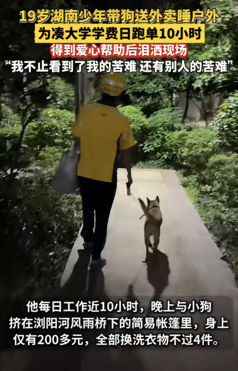 19岁男孩带着一条土狗睡桥洞，身上只剩200多块，却说出了一句让所有人破防的话.