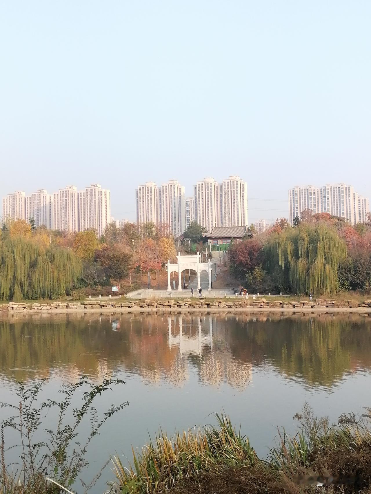 同一地点的秋夏之别！初秋季节