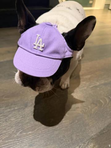 鹿晗解锁连更两天成就,馒头真的不能再吃了 