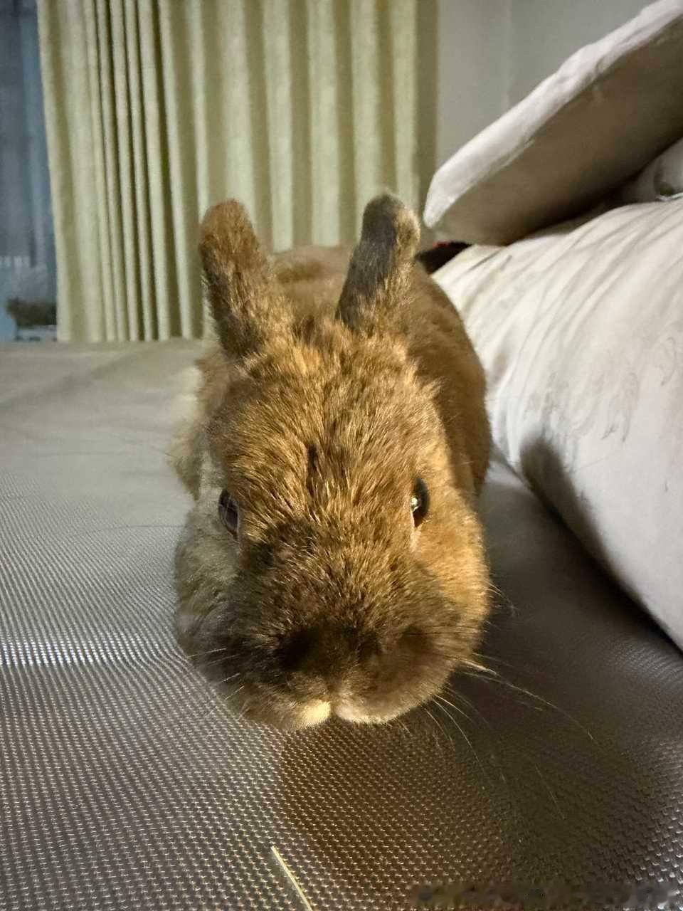 14562🐇【】测宝你就发这张图片然后什么都不要说 