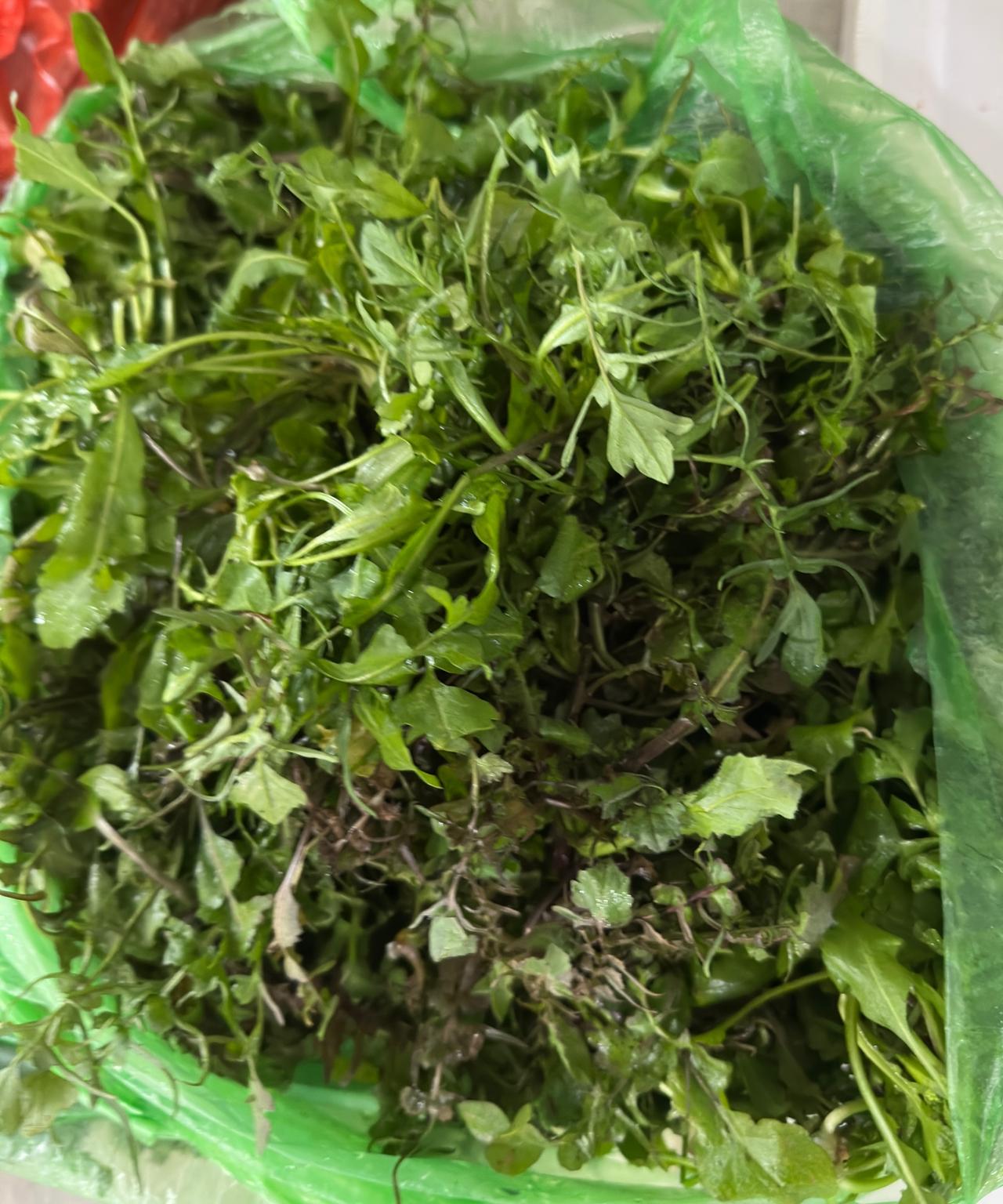 今天10:30去农贸市场买菜，
在地摊上看到了野生的荠菜，
都长这么大了！
她说