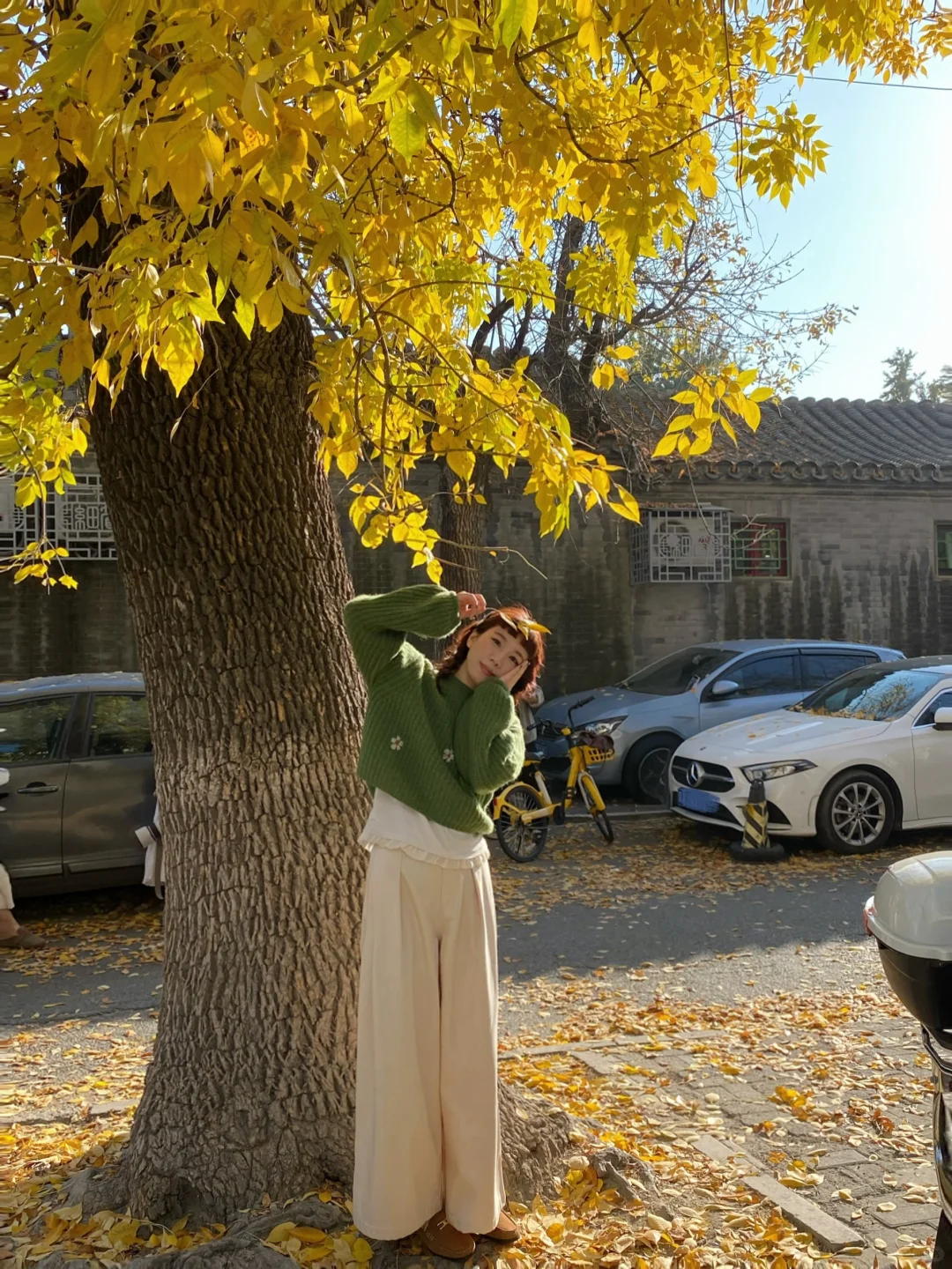 胡同里秋天太太太美好啦🍂