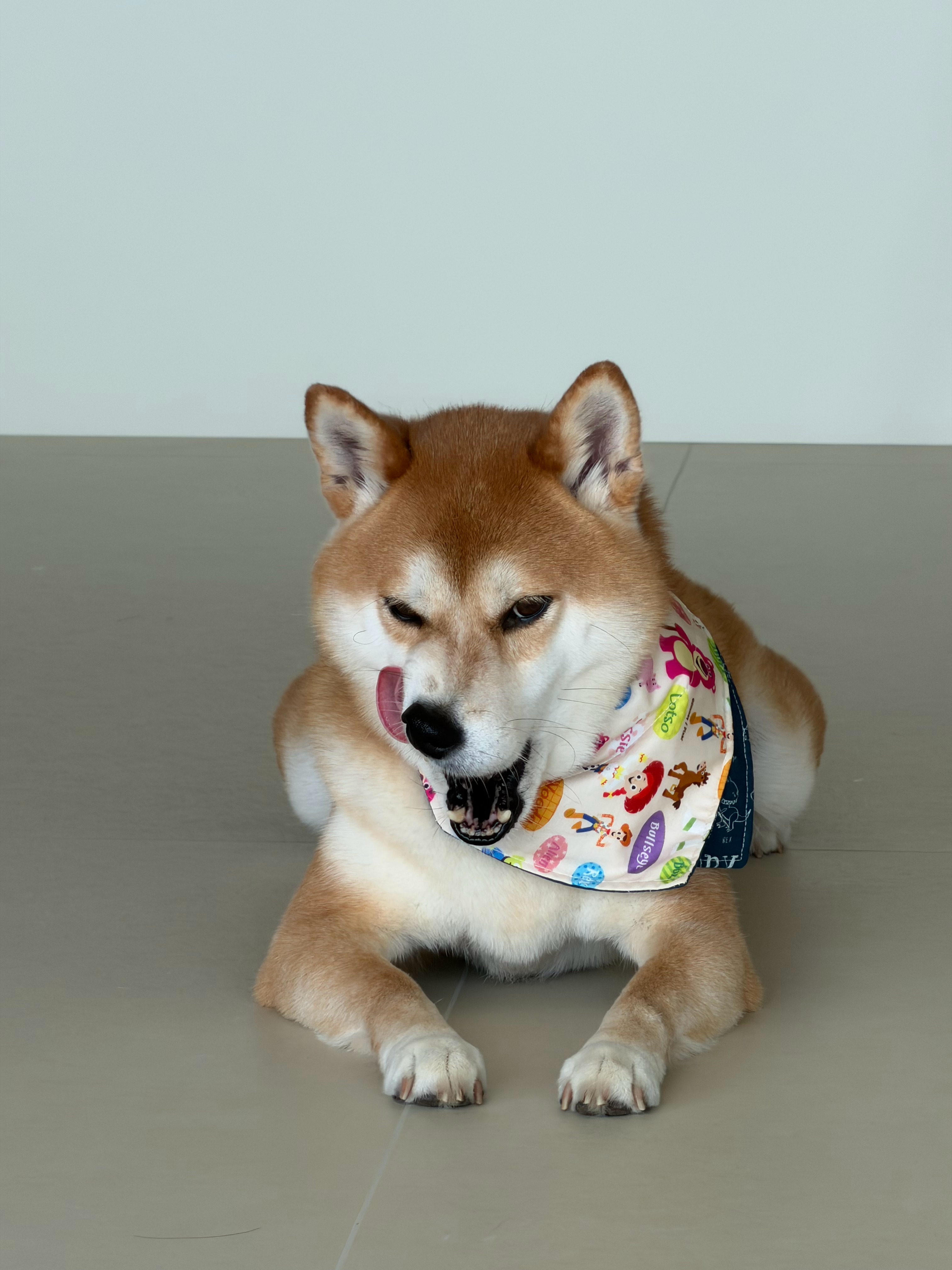魅惑少爷 