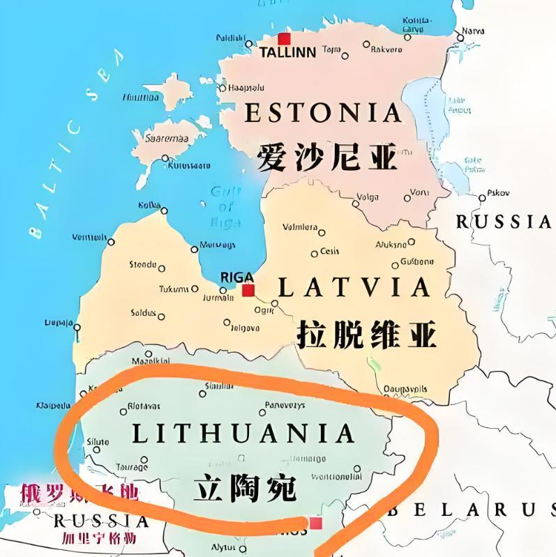自取灭亡的立陶宛总统瑙塞达，这次中国没有迁就他！从今年5月中旬起，立陶宛境内看不