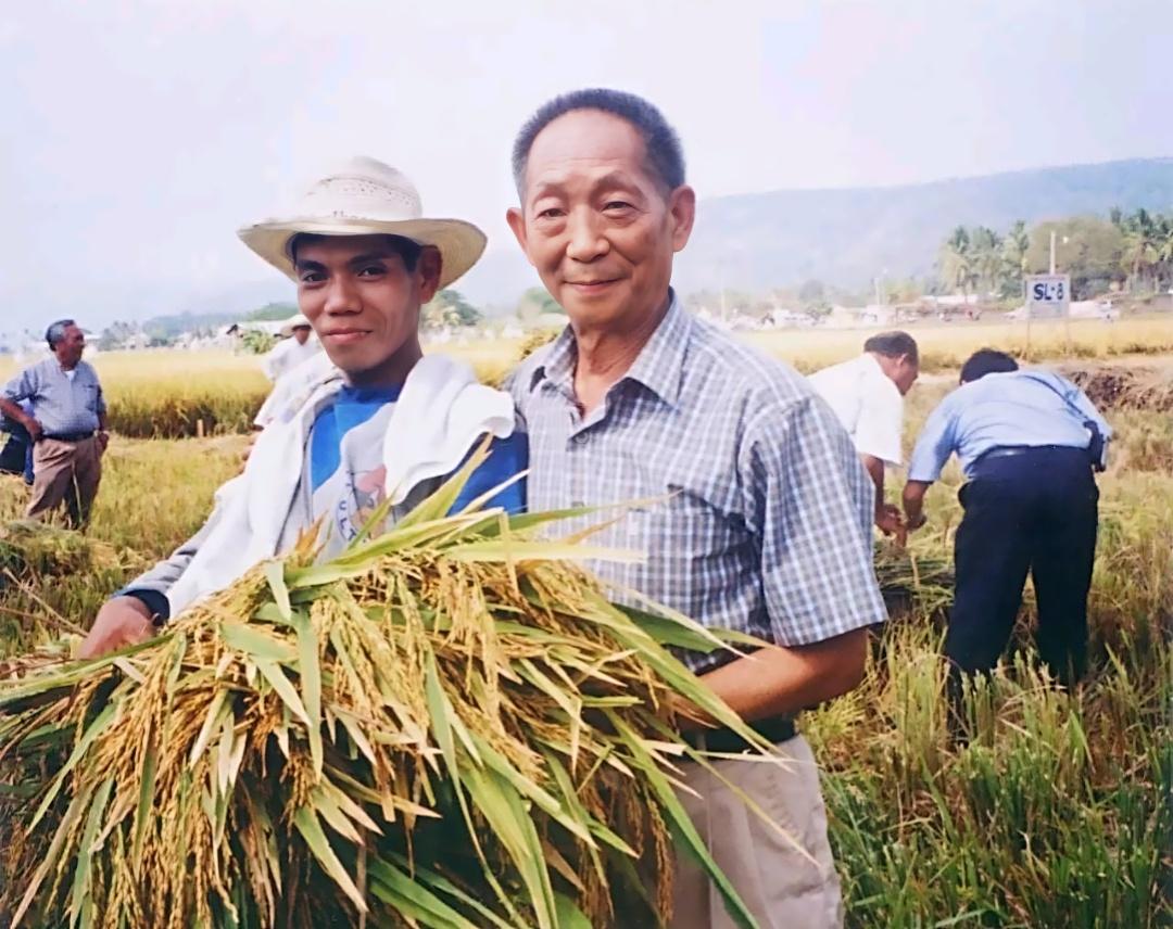 每次看到袁隆平先生在稻田里的照片，心中便想到了“一粥一饭，当思来之不易”这几个字