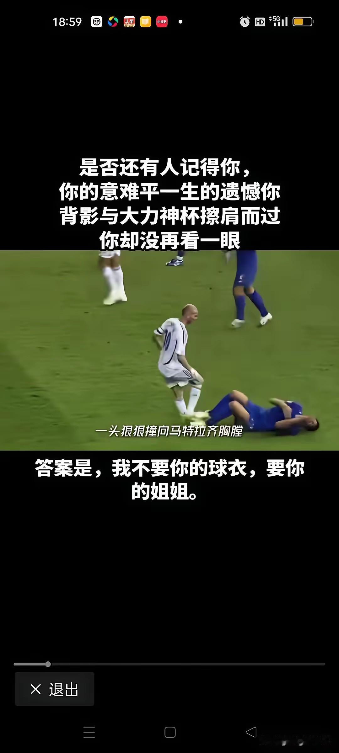 齐达内冤枉吃亏了，按现在的足球执法标准，当年意大利球员马特拉齐辱骂齐达内也应该吃
