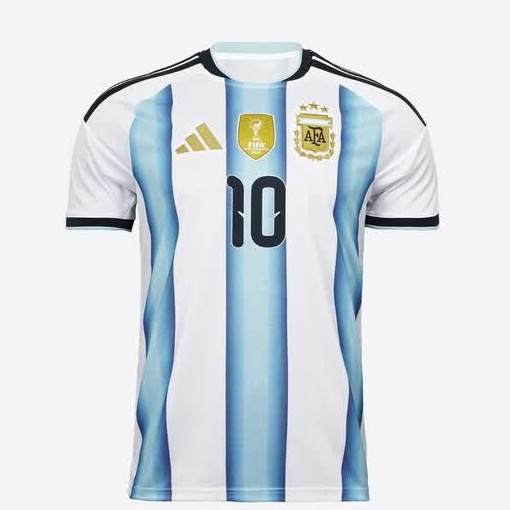 大势已去感…🇦🇷 