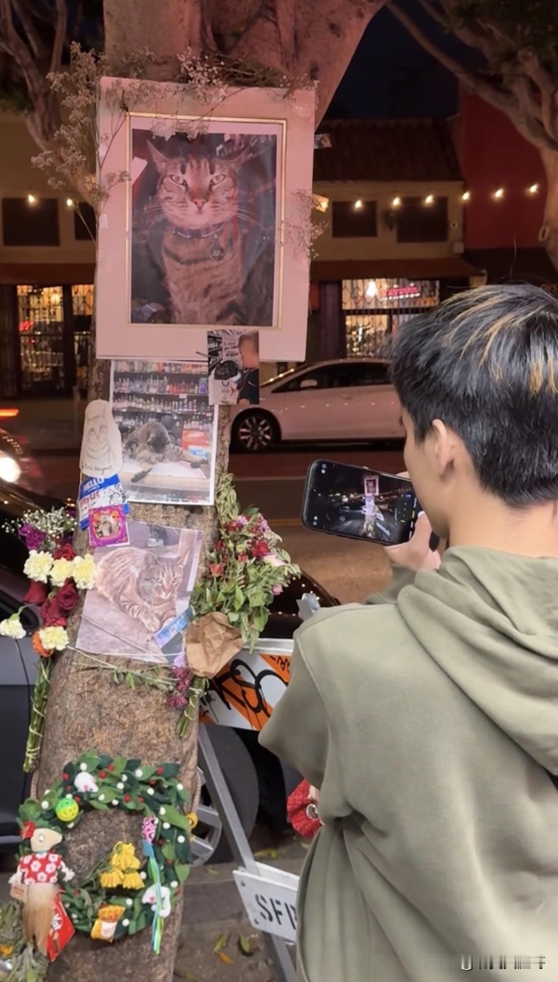 旧金山自动驾驶网约车撞死一只猫引发社区争议

     近期在旧金山运营的Way